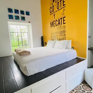 Kuku Ruku 3* Querétaro